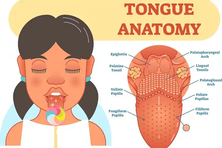 Tongue-Health-Chart